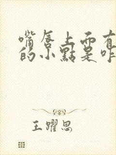 嘴唇上面有白色的小点是咋回事