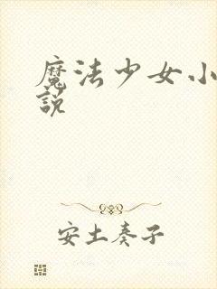 魔法少女小圆小说