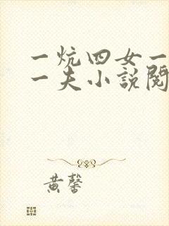 一炕四女一共侍一夫小说阅读