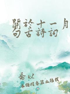 关于十一月的诗句古诗词