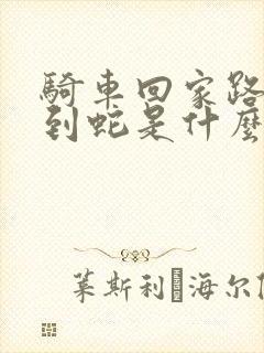 骑车回家路上遇到蛇是什么征兆