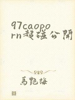 97caoporn超碰公开人人