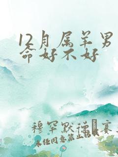 12月属羊男人命好不好