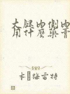 大腿内侧内瘙痒用什么药膏