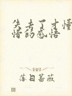 失去了才懂得珍惜的感悟