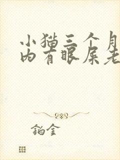 小猫三个月眼睛内有眼屎老是流眼泪