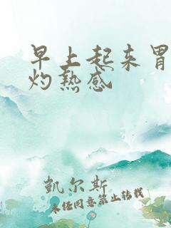 早上起来胃里有灼热感