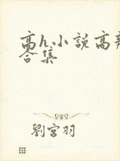 高h小说高辣文合集