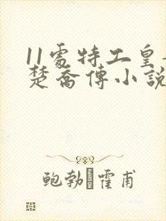 11处特工皇妃楚乔传小说