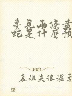 梦见两条黄色的蛇是什么预兆 女性