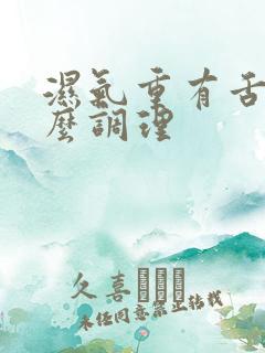 湿气重有舌苔怎么调理