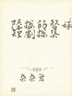 陆总的替嫁新娘短剧总集