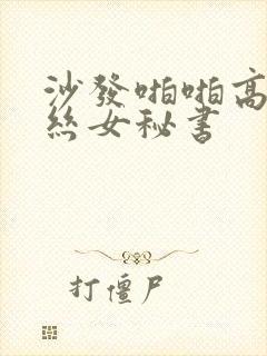 沙发啪啪高跟黑丝女秘书