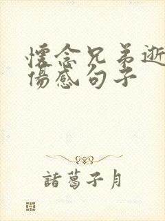 怀念兄弟逝世的伤感句子