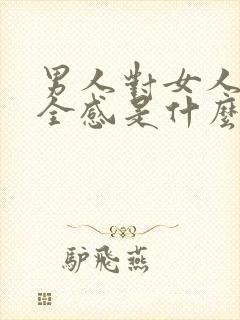 男人对女人的安全感是什么