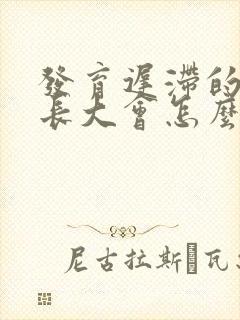 发育迟滞的孩子长大会怎么样