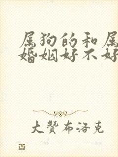 属狗的和属猴的婚姻好不好