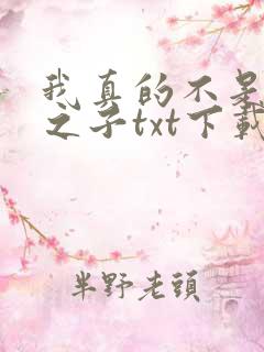 我真的不是气运之子txt下载完本