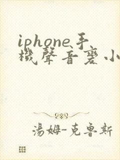 iphone手机声音变小了怎么办