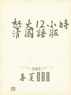 怒火12小时高清国语版