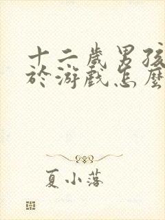 十二岁男孩沉迷于游戏怎么办呢