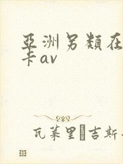 亚洲另类在线不卡av