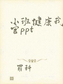 小班健康我的五官ppt