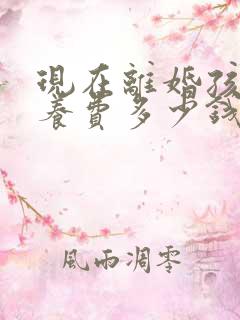 现在离婚孩子抚养费多少钱一个月