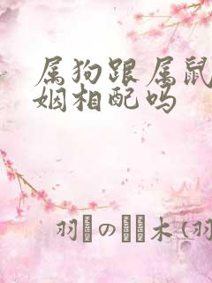 属狗跟属鼠的婚姻相配吗