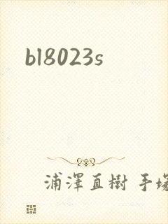bl8023s