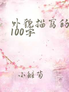 外貌描写的段落100字