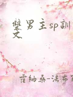 双男主sp训诫文