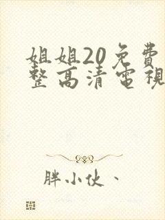 姐姐20免费完整高清电视剧在线看