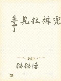 梦见拉裤兜子屎了