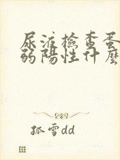 尿液检查蛋白质弱阳性什么意思