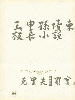 王申孙倩东子高校长小说