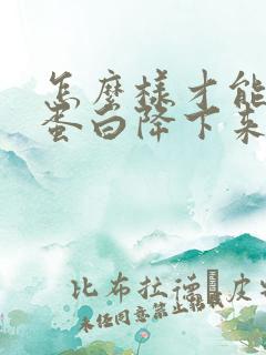 怎么样才能把尿蛋白降下来方法