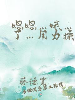 嗯嗯…哦…爽死了…用力操