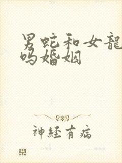 男蛇和女龙相配吗婚姻