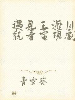 遇见王沥川免费观看电视剧38集