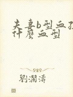 夫妻b型血孩子什么血型