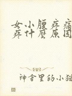 女小腹疼痛腰也疼什么原因引起的