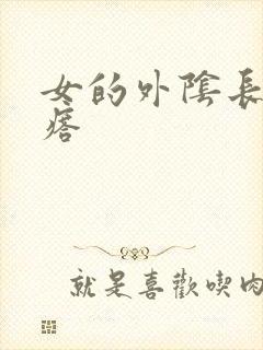 女的外阴长硬疙瘩