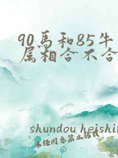 90马和85牛属相合不合
