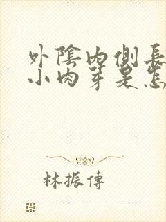 外阴内侧长很多小肉芽是怎么回事