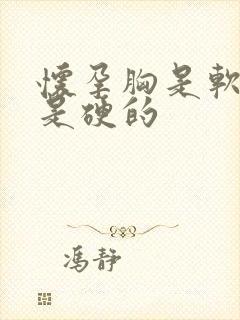 怀孕胸是软的还是硬的