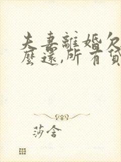 夫妻离婚欠款怎么还,所有贷款女方不知情