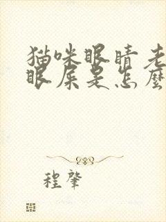 猫咪眼睛老是有眼屎是怎么回事