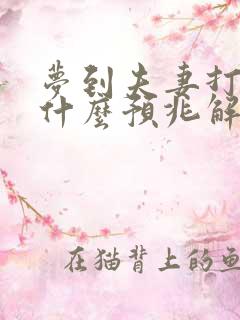 梦到夫妻打架是什么预兆解梦