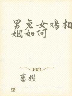 男兔女鸡相配婚姻如何